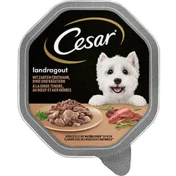 Cesar® Hunde-Nassfutter Truthahn, Rind und Kräutern 14x 150,0 g