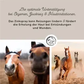 Annimally Zinkspray Plus 200 ml