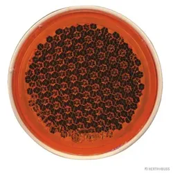 HERTH&BUSS Rückstrahler, 60 mm, gelb gelb - 78623024 - gelb