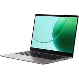 Honor MagicBook 16'' AMD R5 6600H 16 GB RAM 512 GB SSD Win 11 Wolkengrau