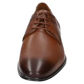 LLOYD CORE 111 braun 7