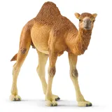 Schleich Wild Life Dromedar 14832