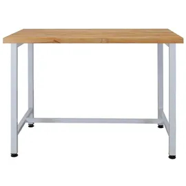Proregal Werkbank Rhino | HxBxT 84x120x60cm | Traglast 300kg | Lichtgrau