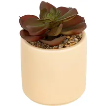 Atmosphera Créateur d'intérieur Sukkulent in beige | Gr.: onesize