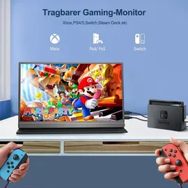 Eviciv MOMODS Portable Monitor 16" schwarz