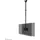NeoMounts CL35-340BL22 Doppel Monitor-/TV-Deckenhalterung 23-43 Zoll