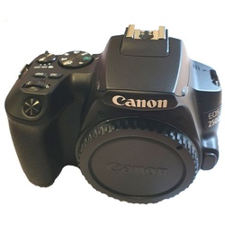 Canon EOS 250D Body schwarz Spiegelreflexkamera