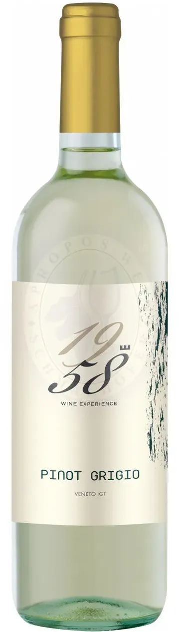 Pinot Grigio 1958 Wine Experience DOC 2024 Castelnuovo 0,75l