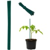 Pflanzstäbe Bambus, 50er Set, HxD: 90 x 0,6 cm, Rankhilfe für Pflanzen, Bambusstäbe mit Bindedraht, dunkelgrün