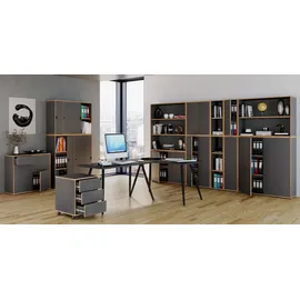 VCM Salia Aktenschrank 100 x 37 x 74 cm grau