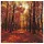 Home fashion Home Fashion, Autumn Forest, Lunch-Servietten aufgefaltetes Maß 33 cm x 33 cm, im Viertelfalz, 20 Servietten Sonniger Herbstwald | B?ume | Wald | Herbst | Herbstmotiv | Natur | Tischdeko | Decoupage | Serviettentechnik 33x33cm