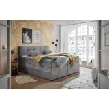 ed exciting design Boxspringbett »Fanes mit Komforteinstiegshöhe von 73cm«, erhältlich in 180x200cm, inkl. Bettkasten und 7cm Visco-Topper, grau