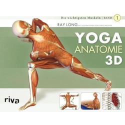 Yoga-Anatomie 3D