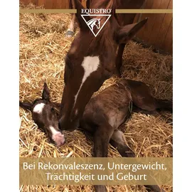 Vétoquinol Equistro Haemolytan 400 Ergänzungsfuttermittel für Pferde 250 ml