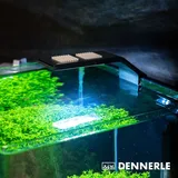 Dennerle Trocal Style Two, 6 W,