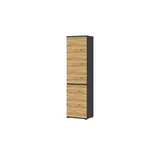 Sconto Dielenschrank Lican ¦ holzfarben ¦ Maße (cm): B: 54 H: 200 T: 40