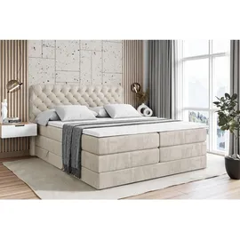 altdecor Boxspringbett mit Matratze, Topper, Polsterbett mit, Bettkasten BOXI8 KING | Beige Casablanca | 140x200 cm, Schlafzimmer, Betten, Boxspringbetten