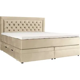 Home Affaire Boxspringbett HOME AFFAIRE "Julien", beige (cream), B:161cm L:210cm, 100% Polyester, Komplettbetten, Boxspringbett, mit Taschenfederkernmatratze