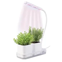 Pearl Mini-Gewächs- & Anzucht-Station 2 Töpfe mit Wachstums-LEDs und Wassertank