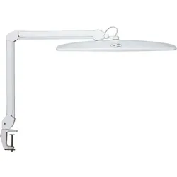 LED-Arbeitsplatzleuchte MAULexplore, dimmbar