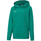 Puma Unisex Kinder, teamGOAL 23 Casuals Hoody Jr Hoodie, Pepper Green, 176