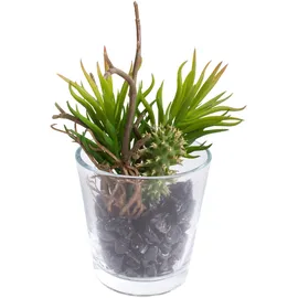 Botanic-Haus Nova-Nature künstliches Sukkulenten und Kakteen Arrangement im Glas (2 Stück) (grün)
