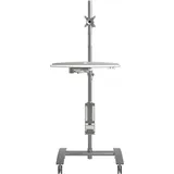 DataFlex Viewmate mobiler Arbeitsplatz (52.702)