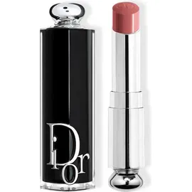 Dior Addict Lipstick 422 Rose des Vents
