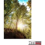 Hti-Living Paravent Wald
