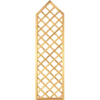 Tetzner & Jentzsch Sichtschutzzaun Gotik-Ranki 60 x 210 cm grün Holz