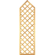 Tetzner & Jentzsch Sichtschutzzaun Gotik-Ranki 60 x 210 cm grün Holz