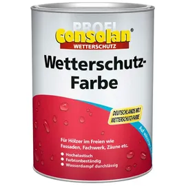 AkzoNobel Consolan Profi Wetterschutzfarbe Weiss 0,75l