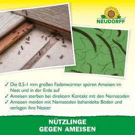 NEUDORFF SF-Nematoden gegen Ameisen 10 Mio. St.