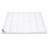 Betten Hofmann Premium 155x220 cm