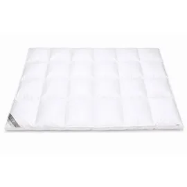Betten Hofmann Premium 155x220 cm