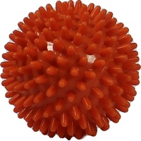 Rehaforum Igelball orange 6cm