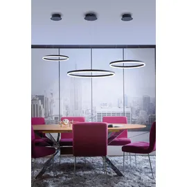 Paul Neuhaus TITUS 1-flg. 38,5W Ø 60 cm rund/grau