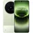 16 GB RAM 512 GB Steppe Green