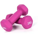 Molti 2er Set Neopren Hanteln Kurzhanteln Gewichte mit Rutschfeste Oberfläche aus Neopren Gewichtsvarianten 2 x 0,5kg bis 2 x 3kg für Gymnastik Aerobic Fitness Pilates Krafttraining (Lila 2 x 1kg)