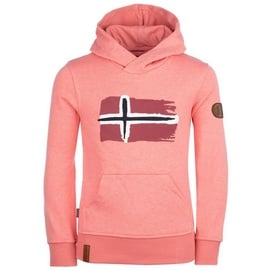 TROLLKIDS Hoodie Pullover Trondheim Antik-Rosa altrosa 122-128cm 7-8J