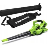 Greenworks GD24X2BV