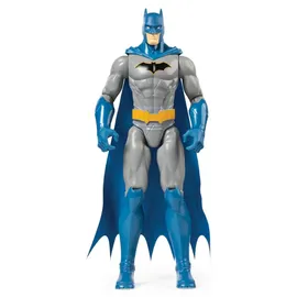 Spin Master DC Actionfigur sortiert