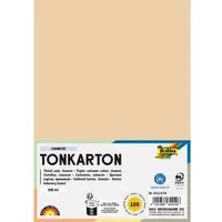 Folia Fotokarton 220 g/m2 A4 100 Blatt