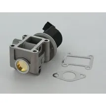 TRISCAN AGR-Ventil 8813 24082
