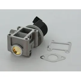 TRISCAN AGR-Ventil 8813 24082