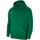 Nike Park 20 Fleece Hoodie Pine Green/White, XS