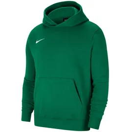 Nike Park 20 Fleece Hoodie Pine Green/White, XS