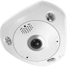 LevelOne FCS-3095 Dome 12MP Weiß