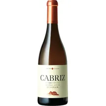 Cabriz Reserva Branco 2024 0,75 l