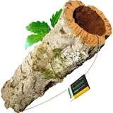 Kork-Deko.de Kork Kork Korkrinde in verschiedenen Größen Formen Terrarien, Deko Basteln